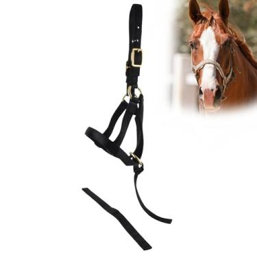 Imagem de Jeffers Cabresto de nylon para desmame equino para potros, pôneis, cavalos em miniatura – Correia ajustável de 2 camadas de 3/10.2 cm com ferragens banhadas em latão – leve para treinamento, cuidados