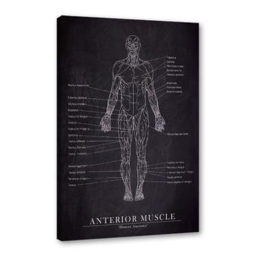 Imagem de Arte de anatomia humana, pintura em tela médica, vintage, esqueleto muscular, educação, pôster, impressão de imagem de parede, decoração de clínica hospitalar (SKU1,8 x 30,5 cm = (20 x 30 cm