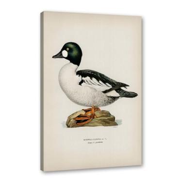 Imagem de Pôster de arte de parede vintage com estampa de pato rústica, pássaros, lago, natureza, retrô, pintura, quadros, decoração de quarto de fazenda (SKU10,8x30,5 cm = (20 x 30 cm), emoldurado (tela