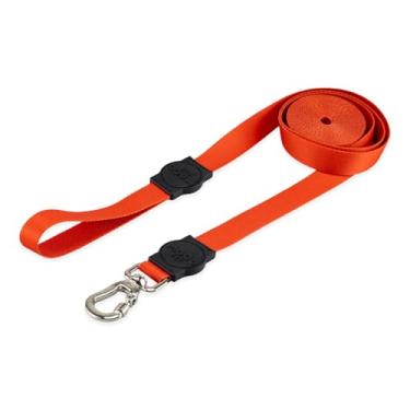 Imagem de Mood Pet Coleira Guia 10 Metros Para Cães Cachorro Adestramento Passeio Porte Grande Médio Pequeno (Red, PP)