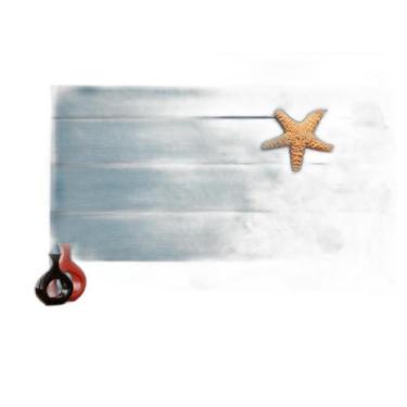 Imagem de Papel De Parede 3D Praia Mar Madeira Conchas 3,5M Npr315 - Você Decora