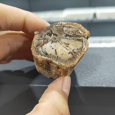 Imagem de 1 peça de pedras naturais e minerais cristal árvore de madeira para porta-copos decoração de casa de madeira Madagascar