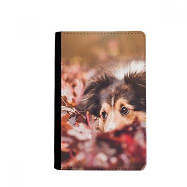 Imagem de Porta-passaporte com foto de folha de animal para cães e animais de estimação Notecase Burse capa para cartão, Multicolor