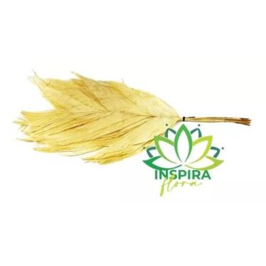 Imagem de Folha De Aricana Desidratado Arranjo Decoração Vaso Palha - FLORA FULL