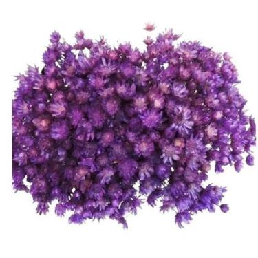 Imagem de 600 Sempre Viva Florzinha Lilás I Flores Desidratadas - Tem Flores