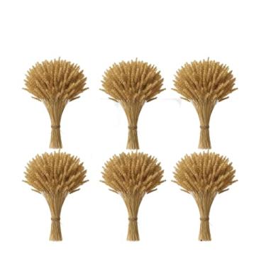 Imagem de 400 Hastes De Trigo Seco Para Decoração Festa Enfeites Artigos Mesa Arranjo Elegante, Wedding Venues & Home Altars, Long-Lasting Beauty Without Care(06 Maços (240 Hastes))