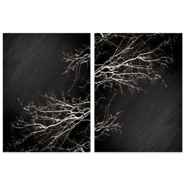 Imagem de Quadro Galhos Secos Duo Midiapoparte Em 2 Peças