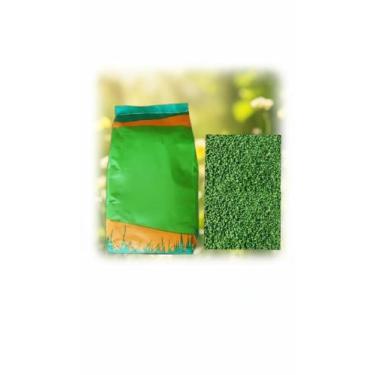 Imagem de Sementes de Grama Incrustada (1kg) - Congratulations Store
