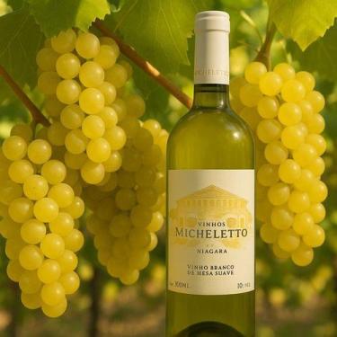 Imagem de Vinho Branco Micheletto Niágara Garrafa 750 Ml