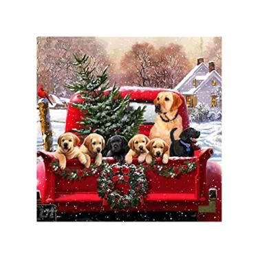 Imagem de Kit de Pintura Diamante 5D DIY Estilo Full Drill Mosaico Strass Acrílico Artesanato Decoração Parede para Casa Sem Moldura com Ferramentas Auxílio