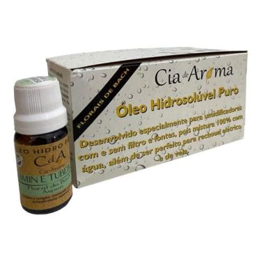 Imagem de Box Kit 10 Óleos Hidrossolúvel 10Ml - Escolha O Seu Aroma