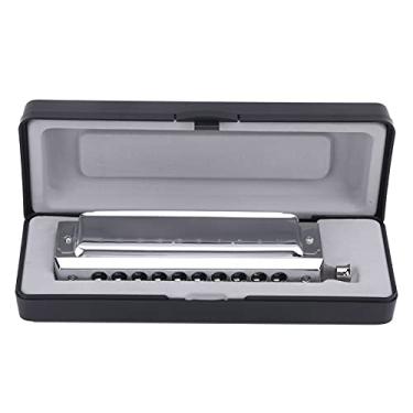 Imagem de RiToEasysports Gaita Cromática 10 Buracos 40 Tons 2 -siened Órgão de Boca Prata Com Alavanca de Tonificação Sensível