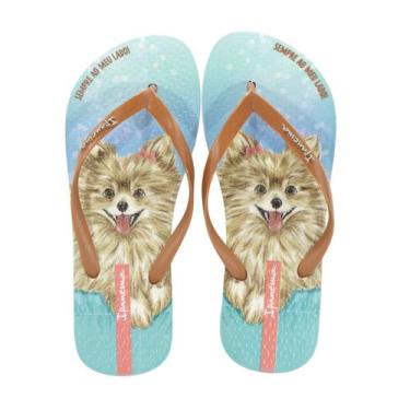 Imagem de Chinelo Ipanema Pets Pop Marrom/verde, M, Verde, Marrom, 37/38