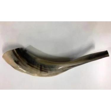 Imagem de Shofar carneiro  peq - KHOSHER