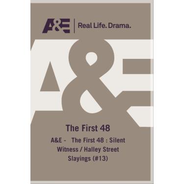 Imagem de A&E - The First 48 : Silent Witness / Halley Street Slayings (#13)
