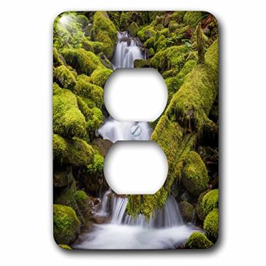 Imagem de 3dRose lsp_206671_6 EUA, Washington, Parque Nacional Olímpico Pequeno fluxo na floresta 2 Tomadas Capa