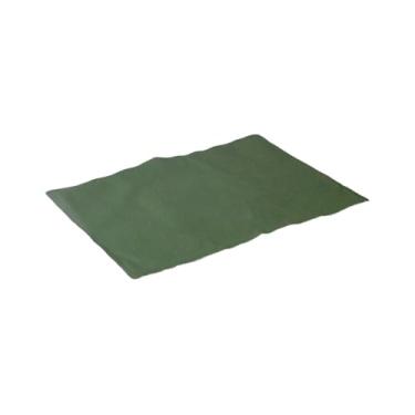 Imagem de Tapete Gelado Refrescante para Pet em Nylon, Resfriamento Automático, Impermeável, Resistente a Unhas, Antibacteriano, Antifúngico, Portátil (Verde, Tap Ret P)