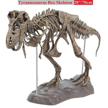 Imagem de Tiranossauro Rex Esqueleto Dinossauro Animal Colecionador Decoração M 