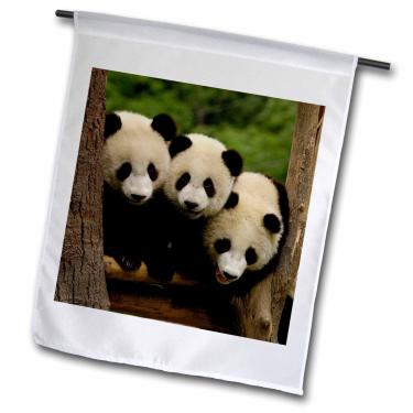 Imagem de 3dRose fl_70209_1 "Giant Panda Bears, Wolong China Conservation - Bandeira de jardim Pete Oxford, 30,5 x 45,7 cm