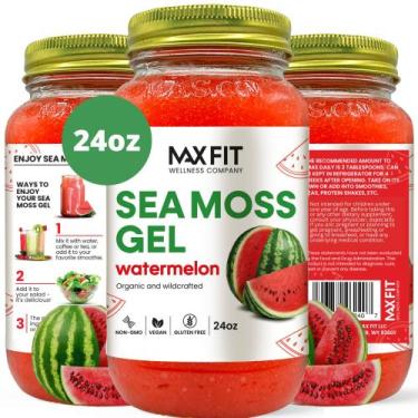 Imagem de Gel de Musgo Marinho Orgânico MAX FIT - Cru, 700ml - Santa Lúcia