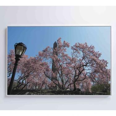 Imagem de Quadro árvore Cerejeira 2 120x80 Cm Vidro Impresso