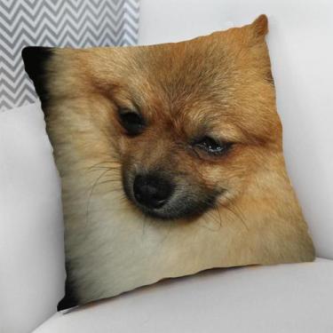 Imagem de Almofada Decorativa Cheia c/ Zíper Dog Pet Cachorro Cão - Deluzz, Spit