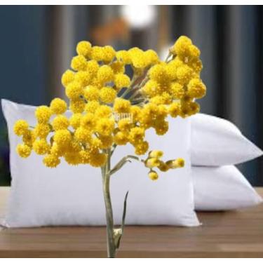 Imagem de travesseiro de cheiro travesseiro com aroma ervas selecionadas marcela