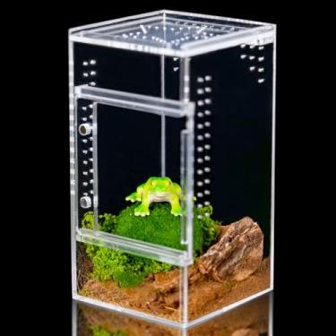 Imagem de maiyuolg Terrário para répteis 3 x 3 x 6 – Aranha saltadora, pequeno terrário para répteis para lagartixas, tarântulas, louva-a-deus e filhotes