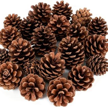 Imagem de 24 peças de enfeites de pinhas de Natal naturais rústicas pinhas penduradas com cordão de pinha decorações de árvore de Natal para casa de fazenda, Natal, casamento, outono, festa, guirlanda, centro