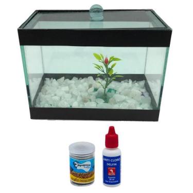 Imagem de Aquario Beteira 2 Litros Completo Com Pedra Planta Anti- Cloro Ração -