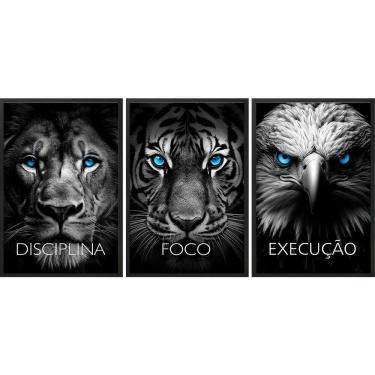 Imagem de Kit 3 Quadros Animais Disciplina Foco Execução 33X24Cm Vidro