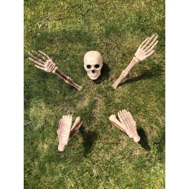 Imagem de Stephanie Imports Esqueleto fora do chão - adereço assustador de decoração de Halloween