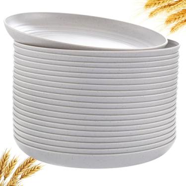 Imagem de LIYH 20 peças de pratos de plástico de palha de trigo cinza claro - Pratos de jantar inquebráveis de 22 cm, reutilizáveis, seguros para lava-louças e micro-ondas, placa externa leve de acampamento