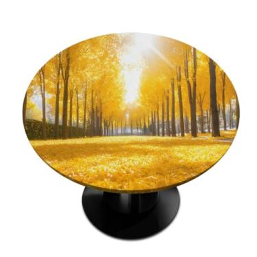 Imagem de hongjinglin Toalha de mesa redonda com borda elástica outono floresta dourada toalha de mesa redonda limpa para ambientes internos e externos, pátio, sala de jantar, cozinha, decoração para mesas de