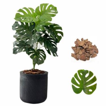 Imagem de Planta Costela de Adão Artificial + Vaso Bojo Moderno Casa - Plandec