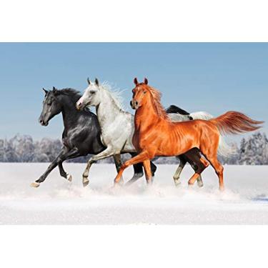 Imagem de Yeele Pano de fundo de cavalo de 2,7 x 1,8 m preto branco marrom cavalo galope correr rápido no fundo de campo de neve para fotografia crianças, adultos, fotos, fotos, fotos, fotos, filmagem, vinil, estúdio, Ptops
