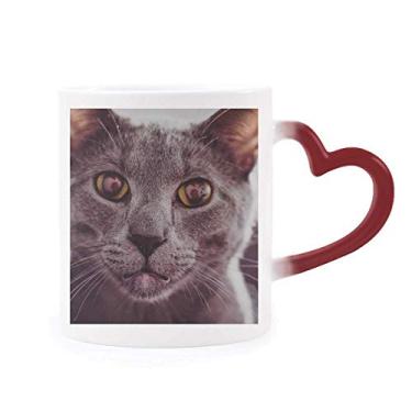 Imagem de Caneca com foto de gato cinza olho grande animal sensível ao calor Caneca de grés que muda de cor vermelha
