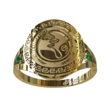 Imagem de Anel de Formatura Biologia em Ouro 18K - Vieira Cruz Joias, 21, Ouro