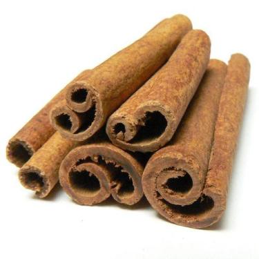 Imagem de Muda de Canela da Índia ou caneleira do ceilão (Cinnamomum zeylanicum)