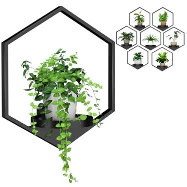 Imagem de Plantadores de parede para plantas de interior, pacote com 7, molduras de plantas, decoração de parede, sala de estar, suporte para pendurar plantas de parede para vasos grandes, prateleiras de janela