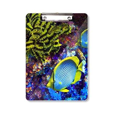 Imagem de Prancheta colorida oceano imagem natureza natureza pasta, bloco de notas placa de apoio A4