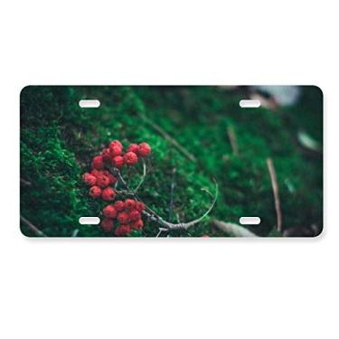 Imagem de DIYthinker Placa de licença de decoração de ciência florestal de frutas vermelhas em aço inoxidável