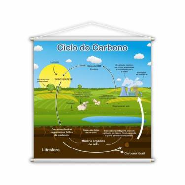 Imagem de Banner Pedagógico Ciclo Do Carbono Ilustrado 80X80Cm - Plimshop