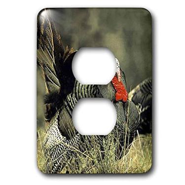 Imagem de 3dRose Wild Turkey Gobbler – Tampa de saída com 2 plugues (lsp_744_6), varia