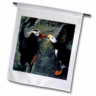 Imagem de 3dRose fl_87344_1 Alaska Pribilof Islands Puffin Birds Cliffside US02 Bja0099 Jaynes Gallery Garden Flag, 30 x 45 cm