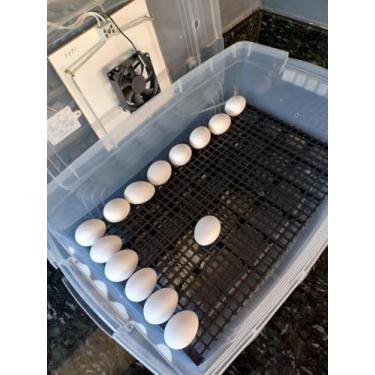 Imagem de Chocadeira Pet Com Controle De Temperatura Automático E Rolagem Dos Ovos Manual Capacidade De 48 Ovos Galinha Ou 144 Ovos De Codorna