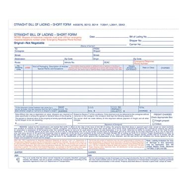 Imagem de Adams Bill of Lading forma curta, 21 x 19 cm, branco, 3 partes, 250 unidades (B3876)