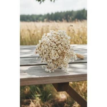 Imagem de Flores Sempre Viva Brancas 1500 Pçs - Decoração Duradoura - Congratula