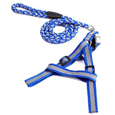 Imagem de Yajun Coleira reflexiva para adestramento de cães de nylon com correia de tração com coleira no escuro resistente a mordidas, azul, 1201,7 cm