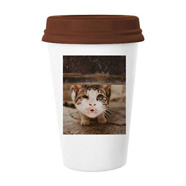 Imagem de Caneca de foto de gato engraçada de animal Caneca de café Copo de cerâmica Copo de cerâmica